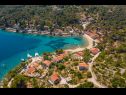 Casa vacanza Villa Ante - with pool: H(6) Rogac - Isola di Solta  - Croazia - la vegetazione (casa e dintorni)