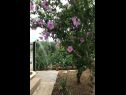 Appartamenti Damir - with garden: A1(6) Kastel Stafilic - Riviera Split  - il giardino