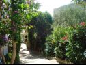 Appartamenti Marija - 120 m from the beach : A1(4+1), SA3(2) Podstrana - Riviera Split  - il giardino