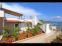 Appartamenti Marija - beautiful sea view: A1(4+1) Drvenik Mali (Isola di Drvenik Mali) - Riviera Trogir  - il giardino
