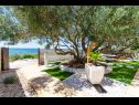 Casa vacanza Bože - 10m from the sea: H(10+2) Drvenik Mali (Isola di Drvenik Mali) - Riviera Trogir  - Croazia - il giardino