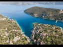 Appartamenti Ivica - 100m from the sea A1(2+2), A2(2+2), A3(2+2), A4(2+2), A5(3+2) Drvenik Veli (Isola di Drvenik Veli) - Riviera Trogir  - la vegetazione (casa e dintorni)