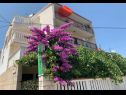 Appartamenti Per - 80 m from beach: SA2(2+1), A5(3), A6(2+1), A45(8), SA3(3), A7(2+1) Marina - Riviera Trogir  - la casa