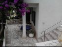 Appartamenti Zeljko - with garden: A1(4), SA2(2+1) Seget Vranjica - Riviera Trogir  - il cortile