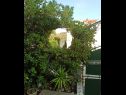 Casa vacanza Villa Linda - big terraces: H(5+2) Seget Vranjica - Riviera Trogir  - Croazia - il cortile