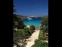 Appartamenti Jak - 10m from the sea: A(4+2) Sevid - Riviera Trogir  - lo sguardo sul mare (casa e dintorni)