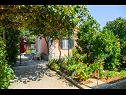Casa vacanza Mirjana - beautiful garden with barbecue: H(4+1) Trogir - Riviera Trogir  - Croazia - il giardino
