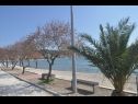 Appartamenti Antonija - fitness: SA1(2), A2(2+2), SA3(2+1), A4(2+2) Vinisce - Riviera Trogir  - la spiaggia