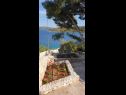 Appartamenti Natad - sea view : A1(4) Vinisce - Riviera Trogir  - lo sguardo