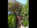 Appartamenti Josip - 5 m from beach: A1(6) Vinisce - Riviera Trogir  - il giardino