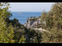 Casa vacanza Villa Vinko - with four rooms: H(8) Baia Voluja (Vinisce) - Riviera Trogir  - Croazia - la vegetazione (casa e dintorni)