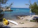 Casa vacanza VEKY - 50m from sea: Holiday House H(4+2) Susica - Isola di Ugljan  - Croazia - la spiaggia