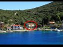 Appartamenti Roki - 10 m from beach: A1(6+2) Veliki, A2(2+2) Mali Baia Rogacic (Vis) - Isola di Vis  - Croazia - la vegetazione (casa e dintorni)