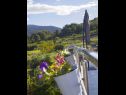 Appartamenti Filip - vineyard and large terrace: SA1 žuti(2), SA2 rozi(2) Vis - Isola di Vis  - lo sguardo