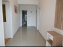Appartamenti Ivo - 500 m to sandy beach: A1(2+2), A2(6+2), SA3(2+1) Ljubac - Riviera Zadar  - Appartamento - A2(6+2): il corridoio