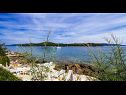 Appartamenti Davor - 20m from sea : A1(2+2), A2(2+2), A3(6) Mali Iz (Isola di Iz) - Riviera Zadar  - la spiaggia