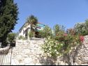 Appartamenti Vlatkica - 10 m from beach: A1 Vlatkica(4), A2 Lea(4) Maslenica - Riviera Zadar  - la casa