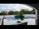 Appartamenti Vesna - with pool A1(4+2), A2(2+2) Nin - Riviera Zadar  - Appartamento - A1(4+2): lo sguardo