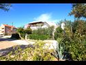 Appartamenti Nika - nice garden: A1(2), A2(4+1), A3(6), A4(2) Nin - Riviera Zadar  - la casa