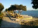 Appartamenti Mis - apartments close to sea: A1(4), A2(4) Petrcane - Riviera Zadar  - la spiaggia