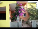 Appartamenti Midi - with two apartments: A1(3), A2(3) Petrcane - Riviera Zadar  - la casa