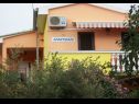 Appartamenti Midi - with two apartments: A1(3), A2(3) Petrcane - Riviera Zadar  - la casa