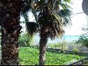 Appartamenti Teo - 8m from the sea & parking: A1 žuti(4), A2 bijeli(4), A3 novi(4) Privlaka - Riviera Zadar  - 