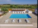 Appartamenti Ani - with pool : SA4(2), A5(2+2), A6(2+2) Privlaka - Riviera Zadar  - la piscina