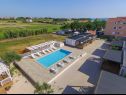 Appartamenti Ani - with pool : SA4(2), A5(2+2), A6(2+2) Privlaka - Riviera Zadar  - la piscina (casa e dintorni)