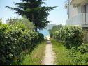 Appartamenti Dream - nearby the sea: A1-small(2), A2-midldle(2), A3-large(4+1) Seline - Riviera Zadar  - il cortile