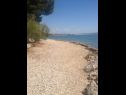 Appartamenti e camere Voyasi - 60 m from sea: A1(2), A2(2), A4(2), A6(2), A7(4), R5(2) Starigrad-Paklenica - Riviera Zadar  - la spiaggia