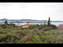 Appartamenti Martina - 300 m from sea: A1(2+2), A2(2+2) Sukosan - Riviera Zadar  - la vegetazione (casa e dintorni)