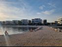 Appartamenti Mare - 20 m from beach: A1(4+4), A2(2+2), A3(2+2) Sukosan - Riviera Zadar  - la spiaggia
