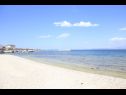 Appartamenti Almond A1(2+2), A2(4+2), A3(4+2) Vir - Riviera Zadar  - la spiaggia
