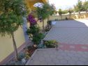 Appartamenti Vanja - terrace & BBQ A1(4+2), A2(4+1) Vir - Riviera Zadar  - il cortile