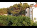 Appartamenti VINK - 80 m from beach A2(4), A3(4), A4(4) Vir - Riviera Zadar  - Appartamento - A4(4): lo sguardo (casa e dintorni)