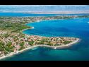 Appartamenti Sanja - 100 meters to the beach A1(4+1), A2(4+1), A3(4+1), A4(4+1) Vir - Riviera Zadar  - il dettaglio
