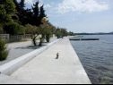 Appartamenti Franka - 70 m from sea: A1(6) Zadar - Riviera Zadar  - il dettaglio