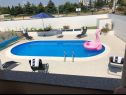 Casa vacanza Franny - comfortable: H(6+1) Zadar - Riviera Zadar  - Croazia - la piscina (casa e dintorni)