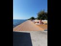 Appartamenti Petin - 5m from the sea: A1(2+2), A2(2+2) Zadar - Riviera Zadar  - la spiaggia