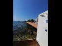 Appartamenti Petin - 5m from the sea: A1(2+2), A2(2+2) Zadar - Riviera Zadar  - la spiaggia
