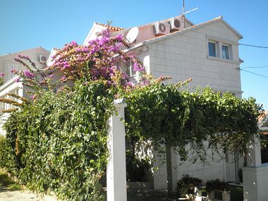 Appartamenti Aldica - 300 m from sea: A1(6) Supetar - Isola di Brac 