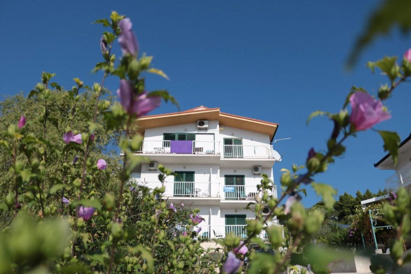 Appartamenti Gloria - 5 min to the beach : SA1(3+1), SA2(3), SA3(3), SA4(4), SA5(3), SA6(3), SA7(2), A8(6+4) Gradac - Riviera Makarska 