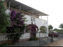 Appartamenti Marijan - with terrace : A1(2+2), A2(2+2) Drage - Riviera Biograd  - la casa