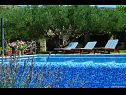 Casa vacanza Vojo - private swimming pool: H(4) Bol - Isola di Brac  - Croazia - piscina all’aperto (casa e dintorni)