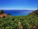 Casa vacanza Smokovlje - sea view and vineyard H(4) Bol - Isola di Brac  - Croazia - lo sguardo (casa e dintorni)