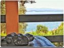 Casa vacanza Smokovlje - sea view and vineyard H(4) Bol - Isola di Brac  - Croazia - H(4): lo sguardo