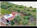Casa vacanza Smokovlje - sea view and vineyard H(4) Bol - Isola di Brac  - Croazia - il dettaglio (casa e dintorni)