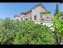 Appartamenti Milo - 50m from the sea: A1(2) Milna (Brac) - Isola di Brac  - la casa