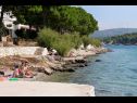 Appartamenti Milo - 50m from the sea: A1(2) Milna (Brac) - Isola di Brac  - la spiaggia